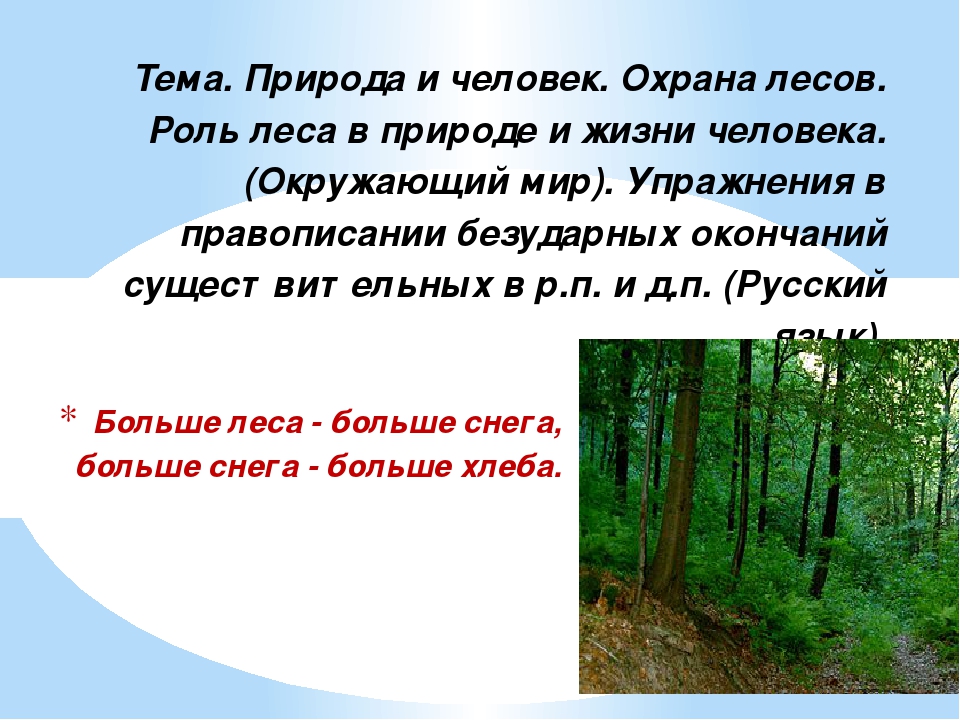 Край лесной текст. Охрана природы лесов. Охрана леса доклад. Презентация охрана лесов. Презентация на тему лес.