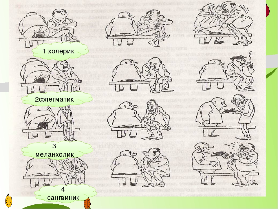 Сангвиник картинка со шляпой