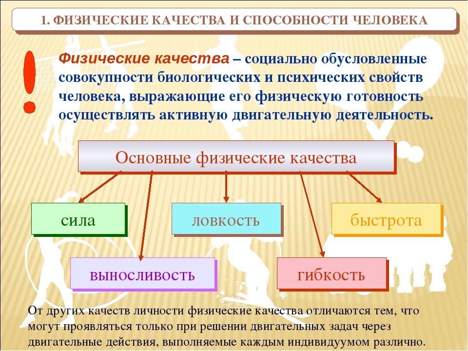 Физические качества развиваются. Физические качества человека. Основные физические качества человека. Физические качества и способности человека. 5 Основных физических качеств человека.