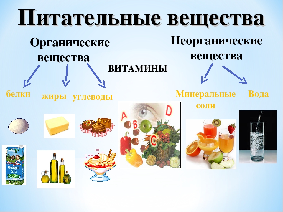 Презентация на тему неорганические вещества