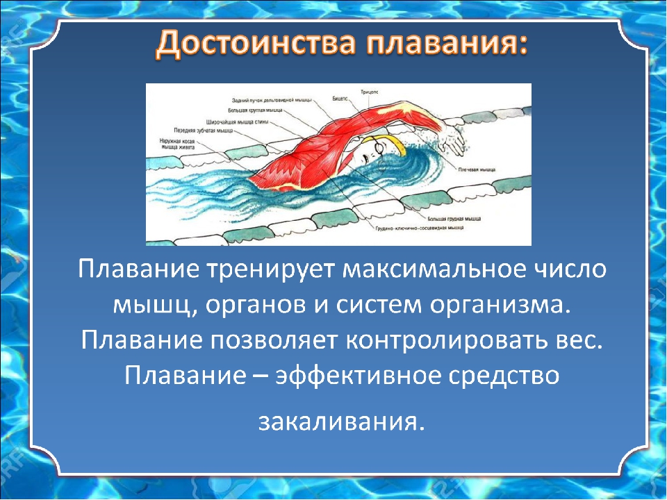 Презентация на тему влияние плавания на организм человека