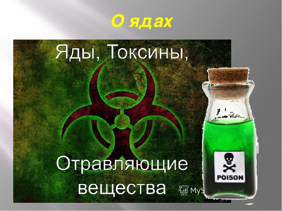 Сильнейшие токсины