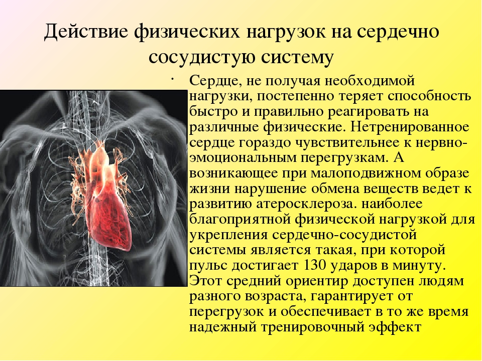 Можно ли сердце. Влияние нагрузок на сердечно-сосудистую систему. Влияние физической нагрузки на сердечно-сосудистую систему. Влияние физ нагрузок на сердечно-сосудистую систему. Влияние физ упражнений на сердечно-сосудистую систему.