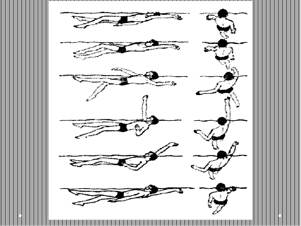 Техника плавания кролем для начинающих в картинках пошагово