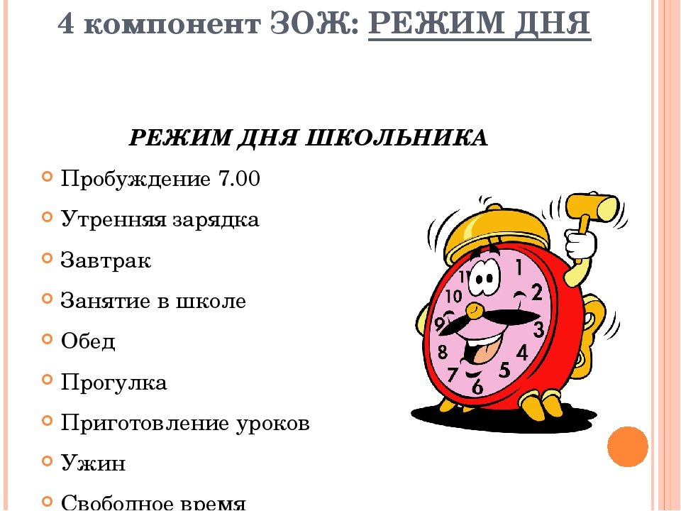 Режим дня зож проект