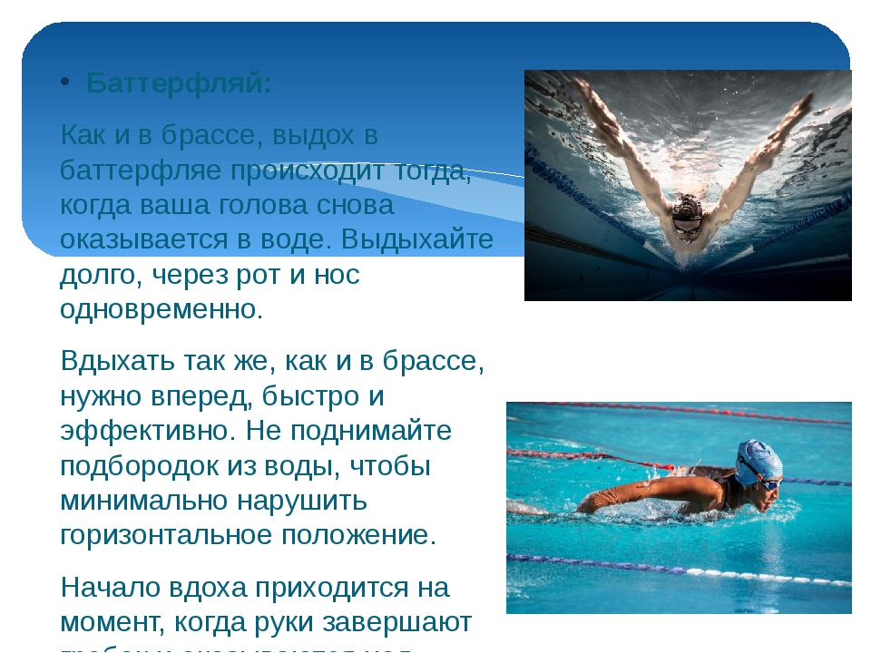 Баттерфляй плавание фото и описание
