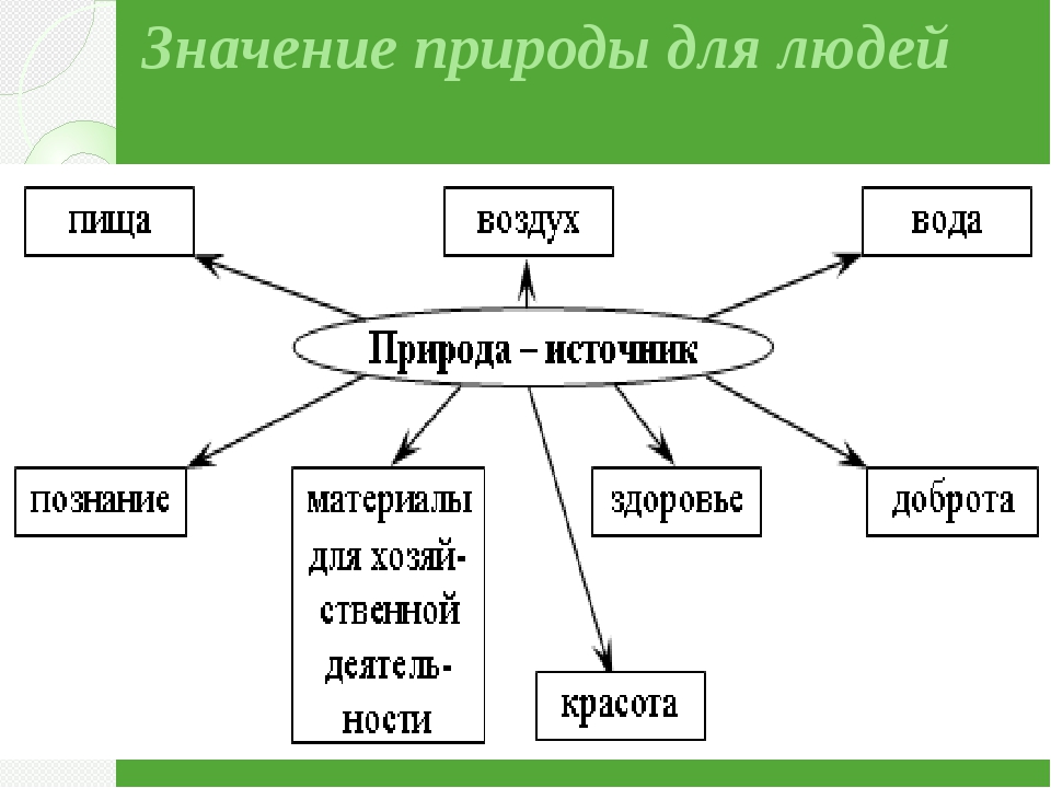 Человек как проект