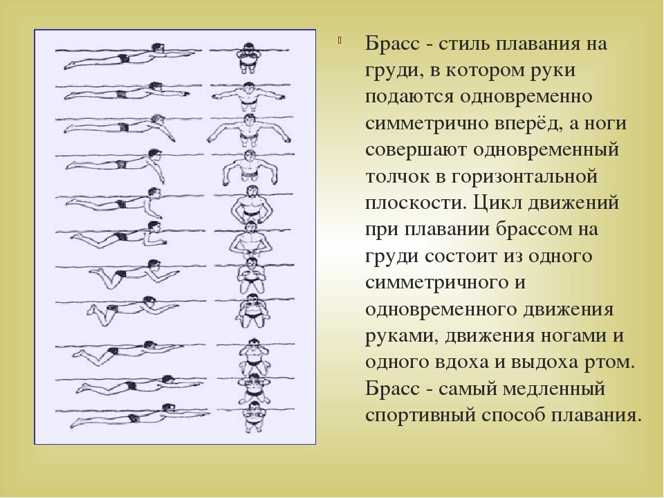 План конспект по плаванию брасс для студентов