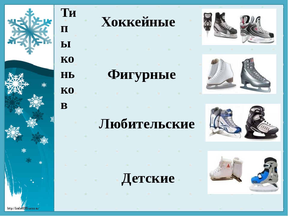Виды коньков. Типы коньков. Коньки всех видов. Коньки для презентации. Коньки какие бывают виды.