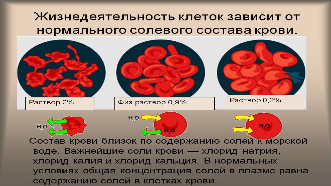 Состав крови презентация 8 класс