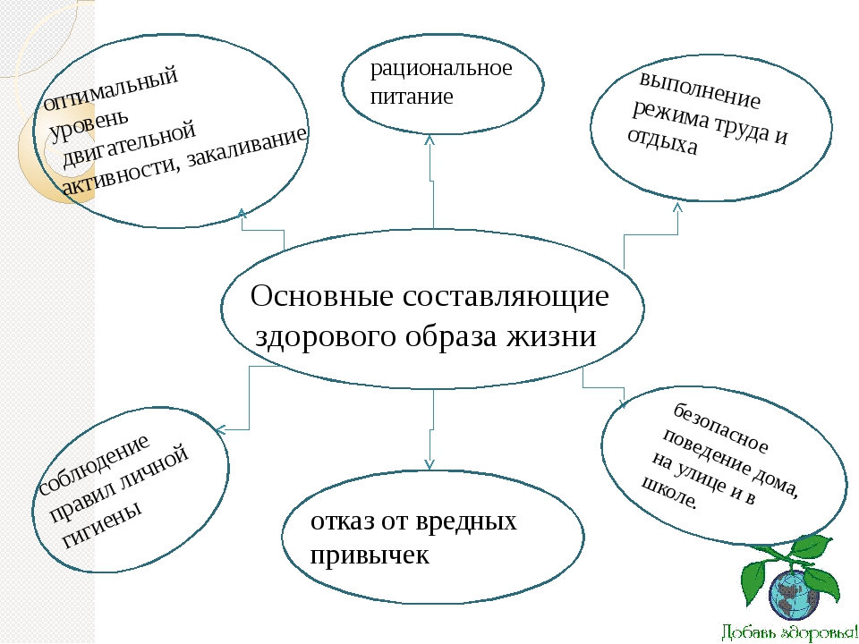 Основные компоненты образа жизни. Основные составляющие здорового образа жизни.