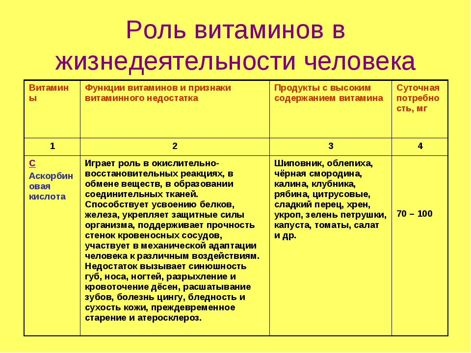 Роль витаминов питание сообщение. Роль витаминов в жизнедеятельности. Роль витаминов в жизнедеятельности организма человека. Значимость витаминов в жизнедеятельности человека. Роль витаминов в процессах жизнедеятельности.