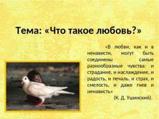 Тема: «Что такое любовь?» «В любви, как и в ненависти, могут быть соединены