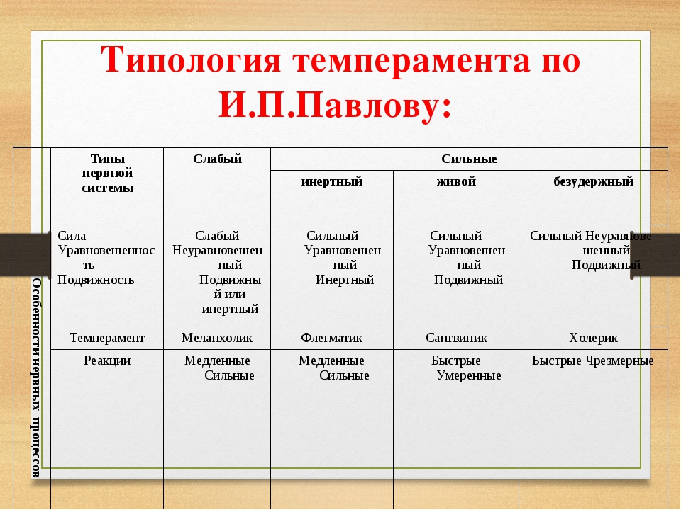 Схема физиологических характеристик общих для человека и животных типов темпераментов по павлову