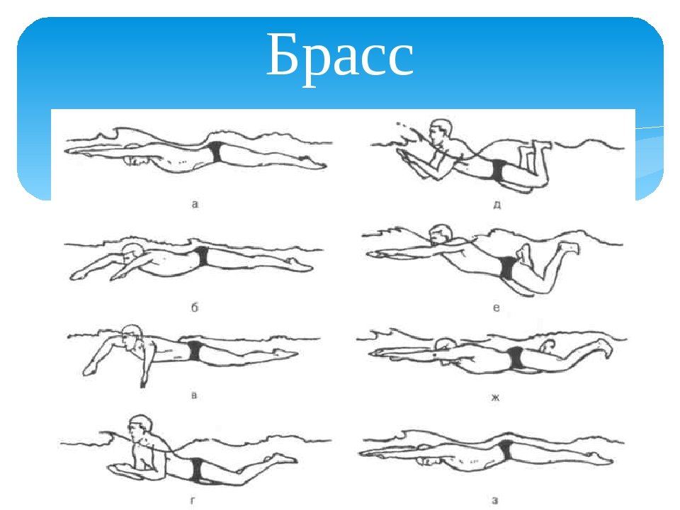 Техника плавания брассом