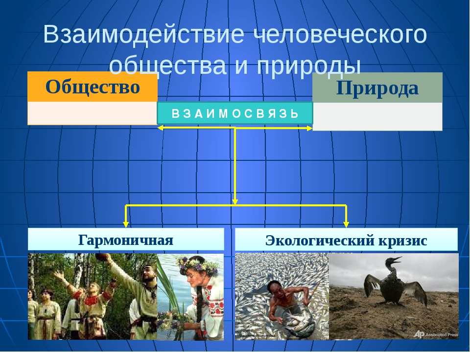 Этапы развития общества и природы. Взаимодействие человеческого общества и природы. Взаимоотношения общества и природы. Общество и природа Обществознание. Взаимосвязь общества и природы.