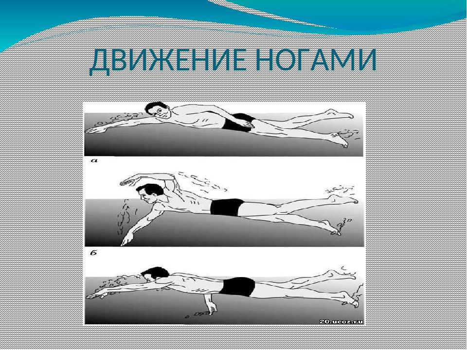 Как называется виды плавания