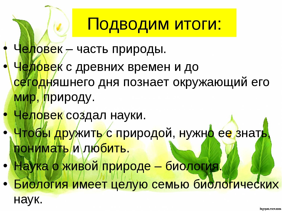 Презентация человек часть природы для дошкольников