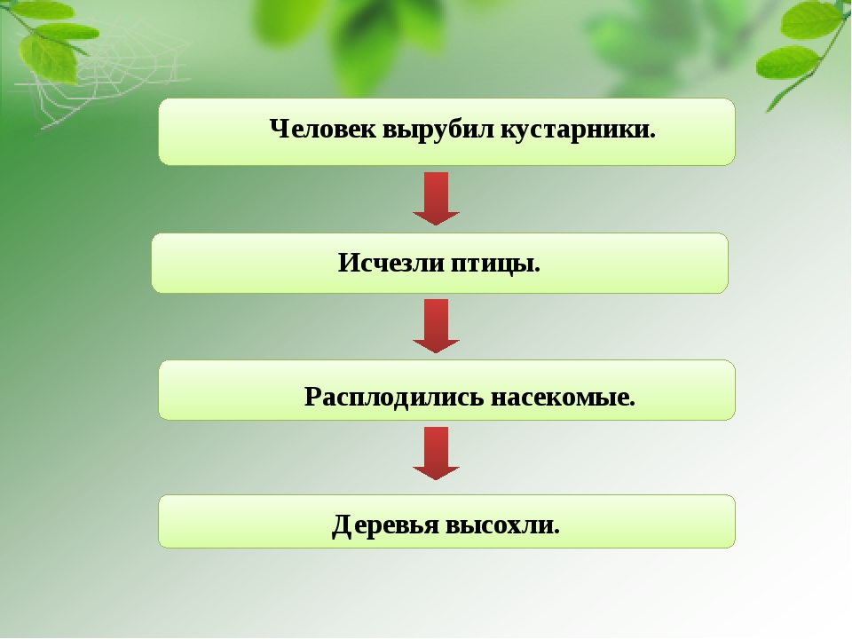 Невидимые нити окружающий мир. Невидимые нити 2 класс. Невидимая нить. Невидимые нити 2 класс окружающий.