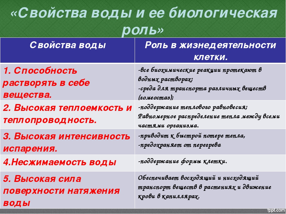 Дополните схему функции воды в организме человека