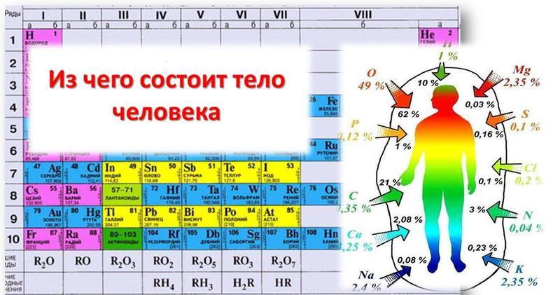 Калий: ВАЖНЫЙ регулятор обмена веществ в организме человека