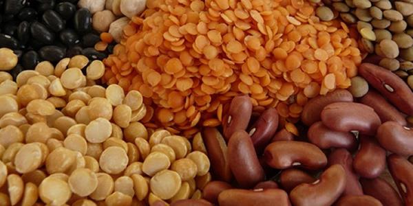 продукты богатые жирами и белками