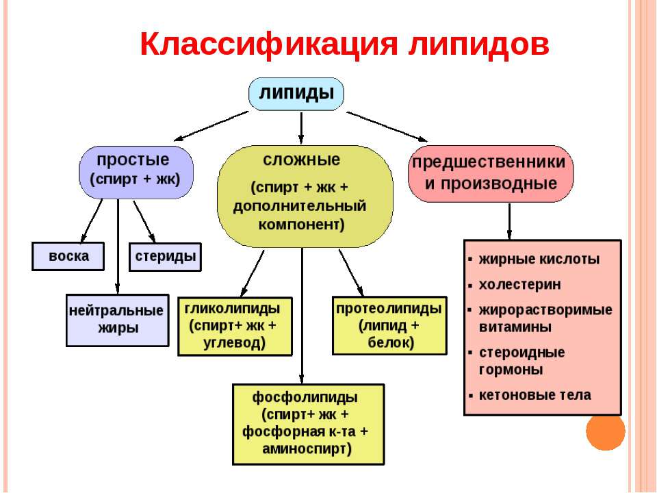 Липопротеины низкой плотности диета