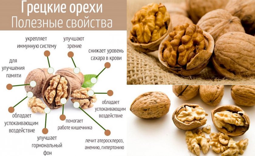 Полезные свойства грецкого ореха Полезные свойства грецкого ореха