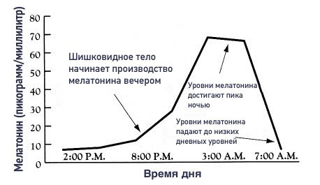 График измнения уровня мелатонина