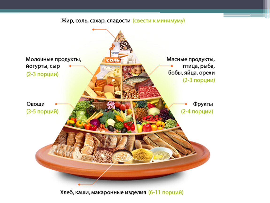 Пирамида питания кратко