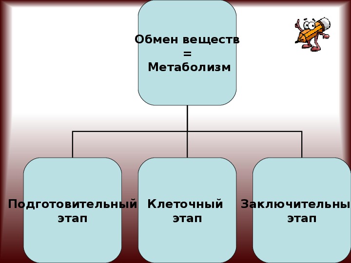 Образование человека здоровье человека закончи схему