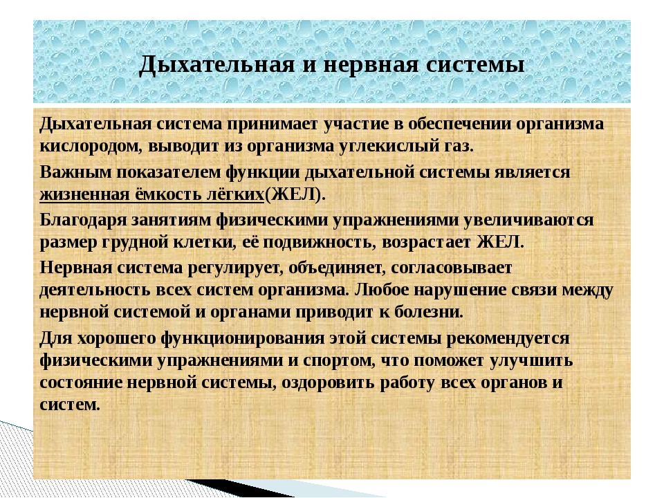 Обеспечения организма. Влияние физических упражнений на дыхание. Влияние физических упражнений на органы дыхания. Воздействие физической тренировки на функцию дыхания. Влияние физических упражнений на дыхательную систему кратко.