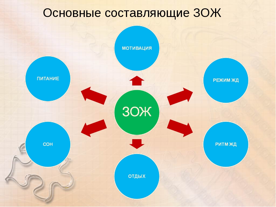 Основные составляющие здорового образа жизни схема