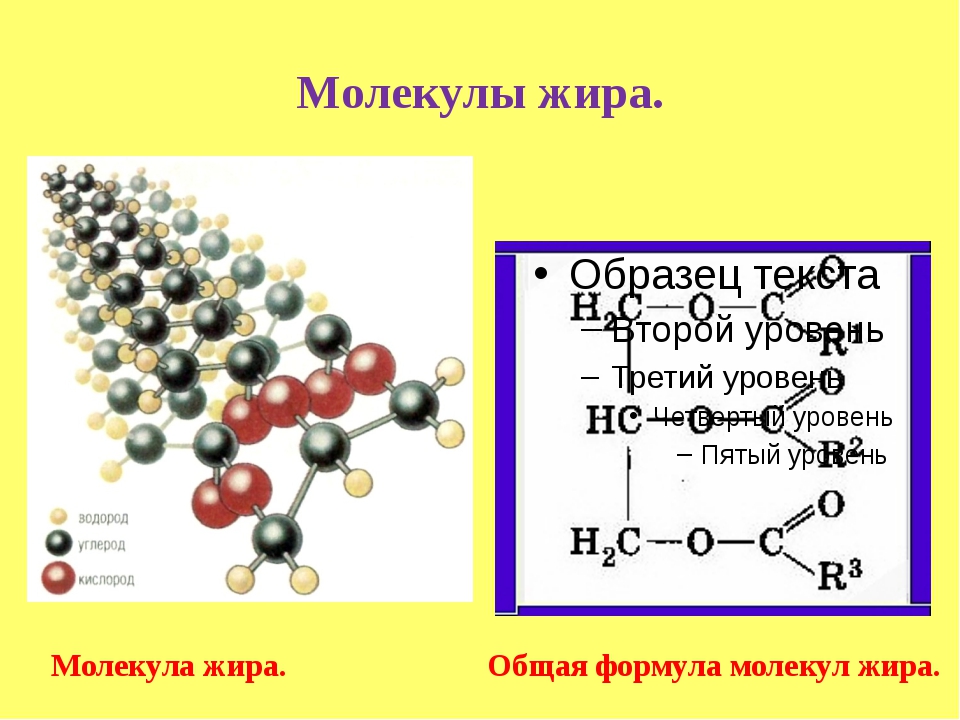 Молекула 2 характеристика. Жиры строение химия. Молекула жира формула. Молекулярная формула жиров в химии. Молекула жира формула структурная.