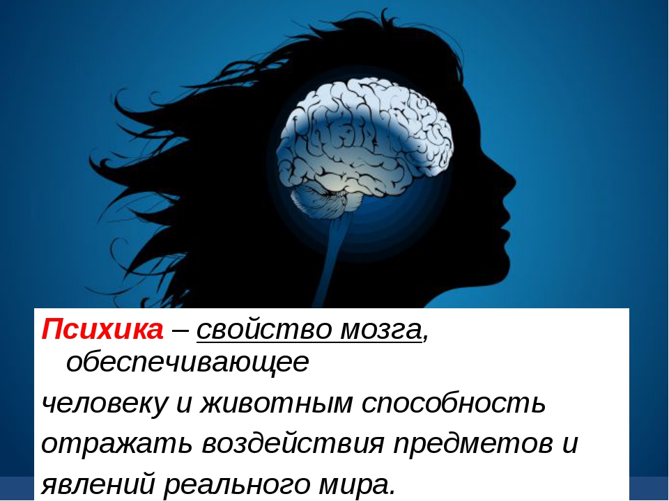 На сколько у тебя психика. Психика и мозг человека. Психика это свойство мозга. Психика презентация. Психика презентация по психологии.