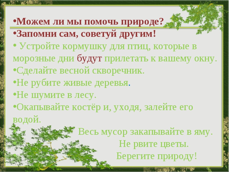 Что дает человеку природа сочинение. Как помочь природе. Как я помогаю природе. Как можно помощб природе. Как я могу помочь природе.