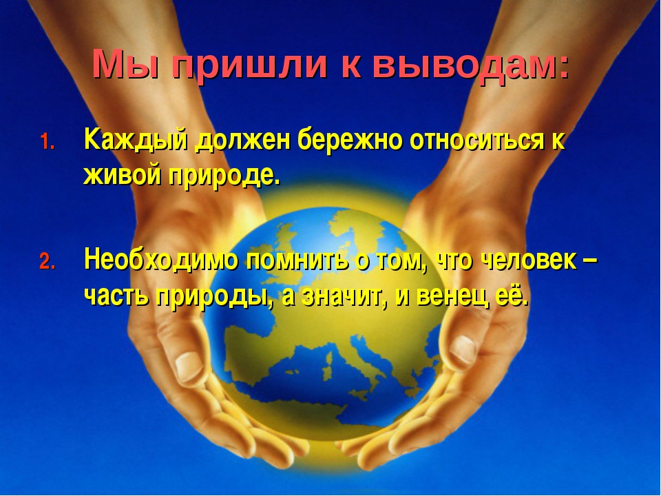 Почему нужно бережно относиться к природе сочинение