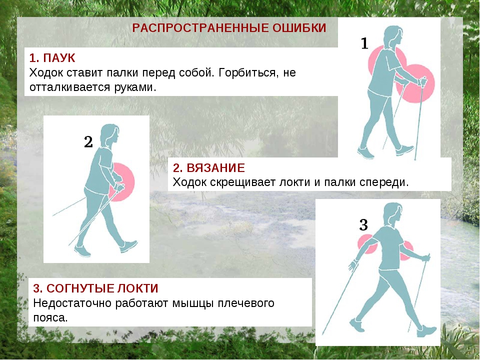 Скандинавская ходьба презентация по физкультуре