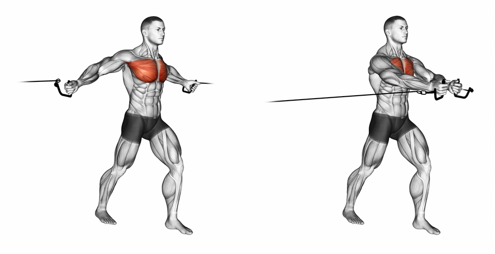 Pectoral Exercises