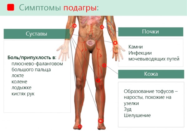 Метаболизм в организме человека. Что это такое простыми словами, как его улучшить