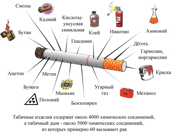 Выведение токсинов и шлаков из организма. Препараты, народные способы, рецепты очищения