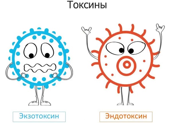 Выведение токсинов и шлаков из организма. Препараты, народные способы, рецепты очищения