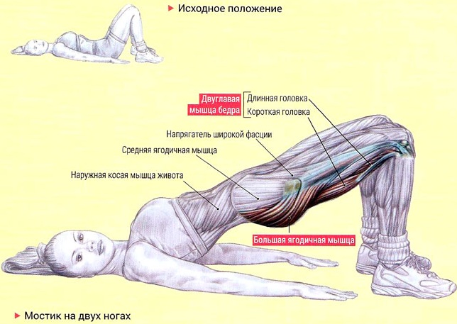 Зарядка для женщин после 40-50-60 лет утренняя на каждый день, упражнения для пожилых