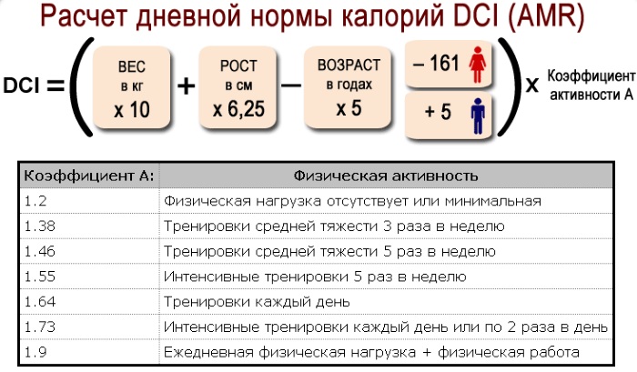 Метаболизм в организме человека. Что это такое простыми словами, как его улучшить