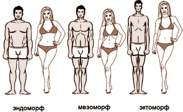 Метаболизм в организме человека. Что это такое простыми словами, как его улучшить