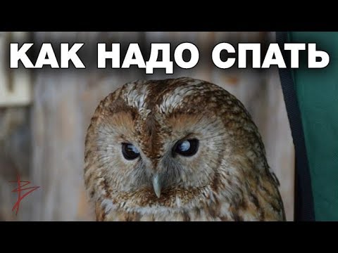 Изображение 4 Изображение 4