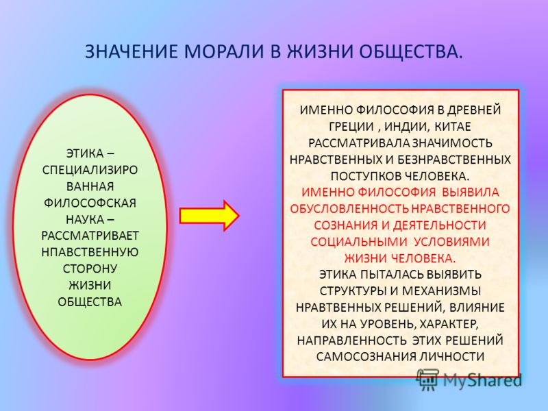 Проект место отдельного человека в жизни общества проект