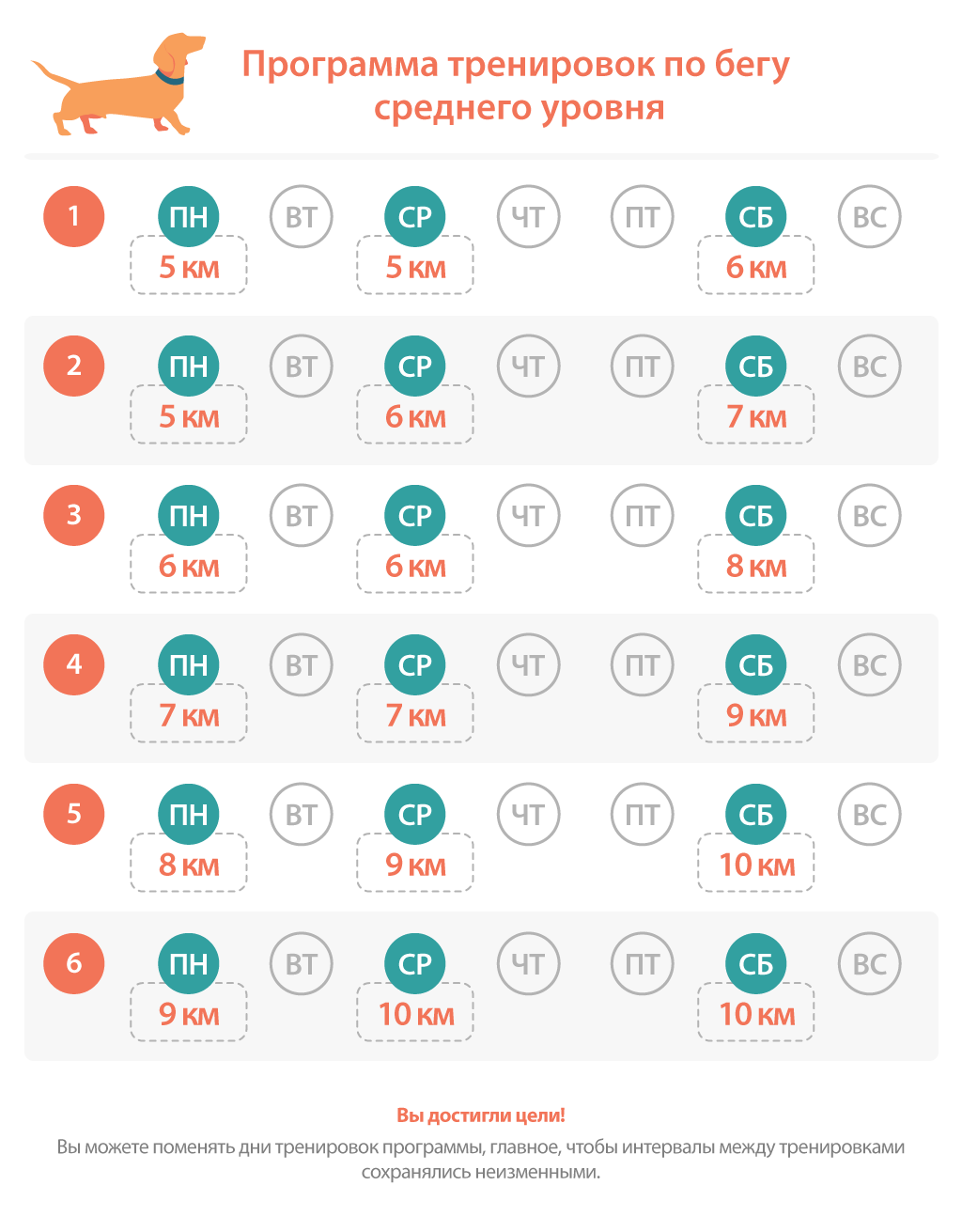 Беговой план на 10 км