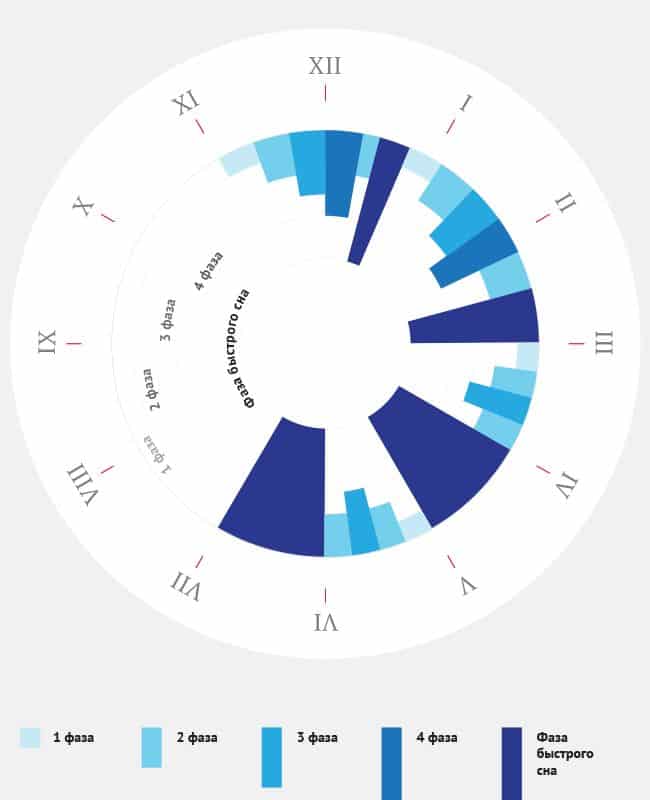 Фазы сна картинки для презентации