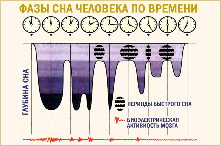 Циклы сна картинки